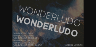 Wonderludo Font Poster 1