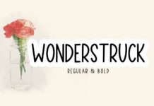 Wonderstruct Font Poster 1