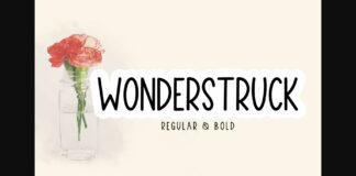 Wonderstruct Font Poster 1