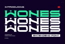 Wones Font Poster 1