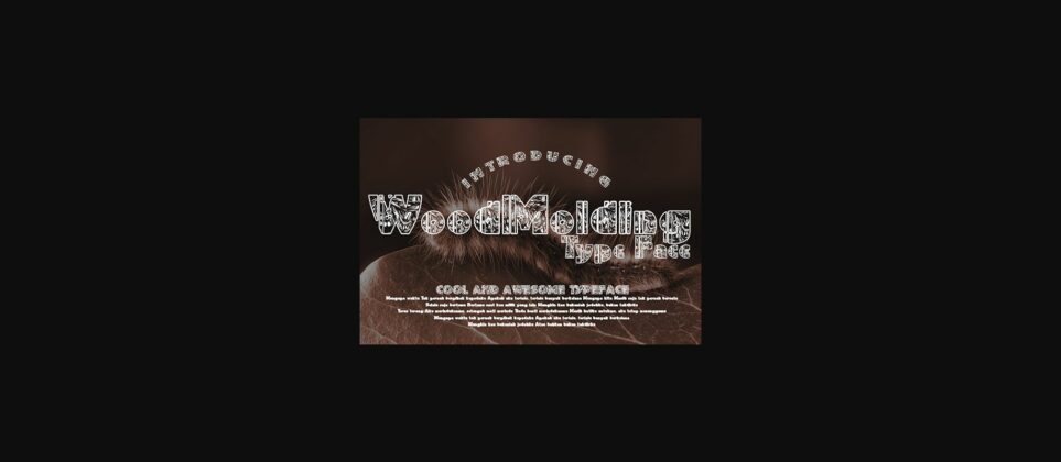 WoodMolding Font Poster 3