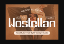 Wostelkan Font Poster 1