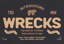 Wrecks - Vintage Font Poster 1
