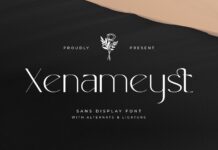 Xenameyst Font Poster 1