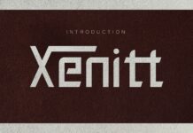 Xenitt Font Poster 1