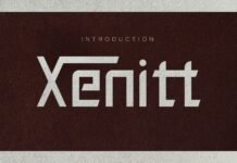 Xenitt Font Poster 1