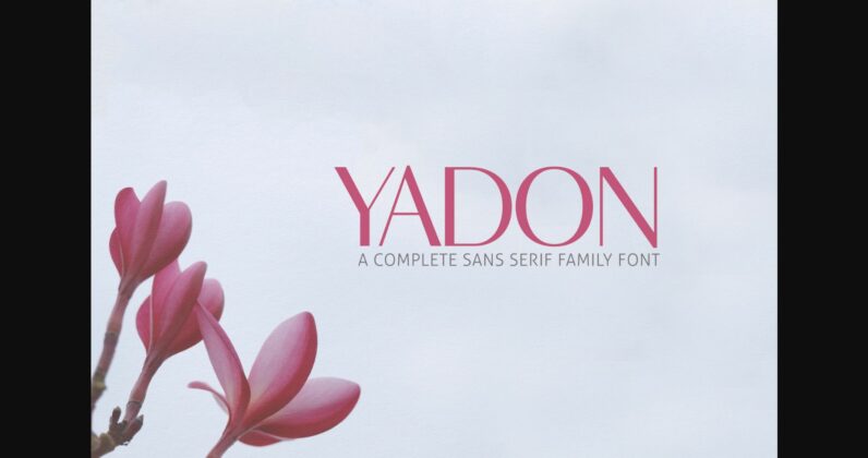 Yadon Family Font Poster 3