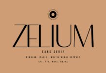 Zelium Font Poster 1