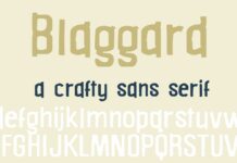 ZP Blaggard Font Poster 1