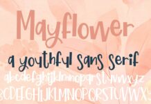 ZP Mayflower Font Poster 1