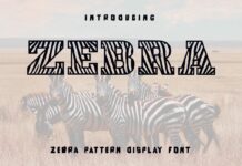 Zebra Font Poster 1