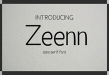 Zeenn Font Poster 1