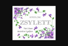 Zsylettpro Font Poster 1