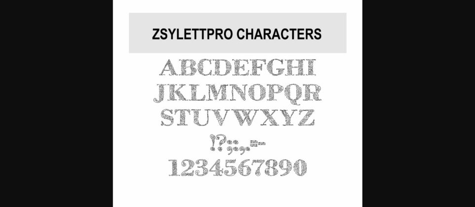 Zsylettpro Font Poster 6