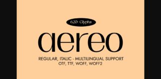 Aereo Font Poster 1
