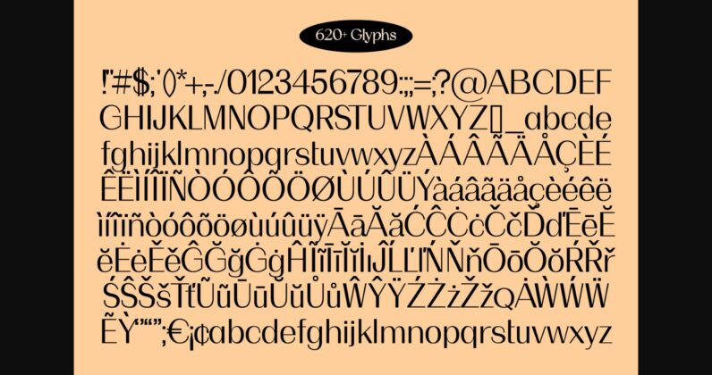 Aereo Font Poster 11