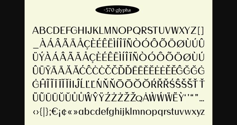 Amurina Font Poster 11