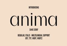 Anima Font Poster 1