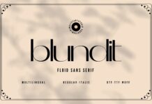 Blundit Font Poster 1