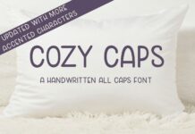 Cozy Caps Font Poster 1