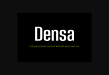 Densa Family Font Poster 1