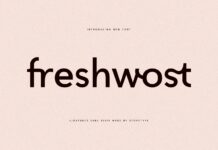 Freshwost Font Poster 1