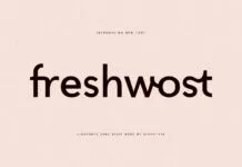 Freshwost Font Freshwost Font Poster 1