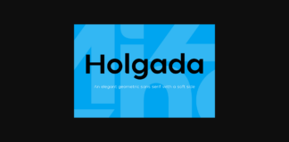 Holgada Family Font Poster 1