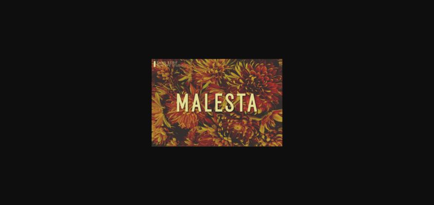 Malesta Font Poster 3