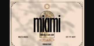 Miami Font Poster 1