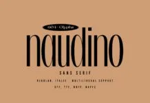 Naudino Font Naudino Font Poster 1