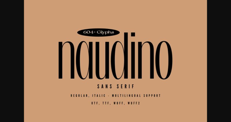 Naudino Font Poster 1