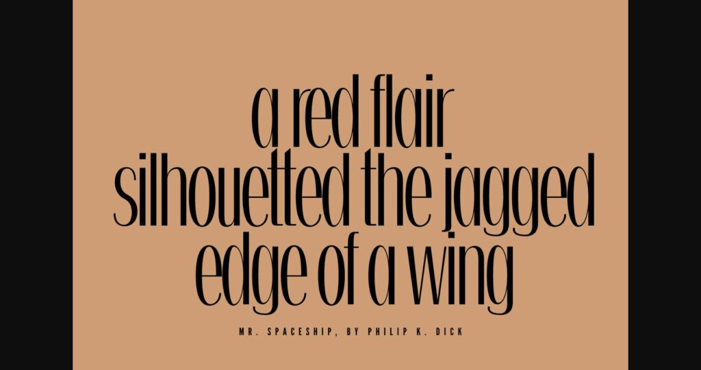 Naudino Font Poster 5