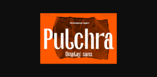 Pulchra Font Poster 1
