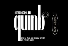 Quinb Font Poster 1