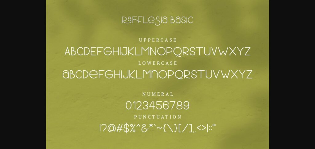 Rafflesia Font Poster 5