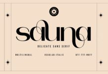 Sauna Font Poster 1