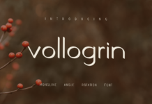 Vollogrin Font Poster 1