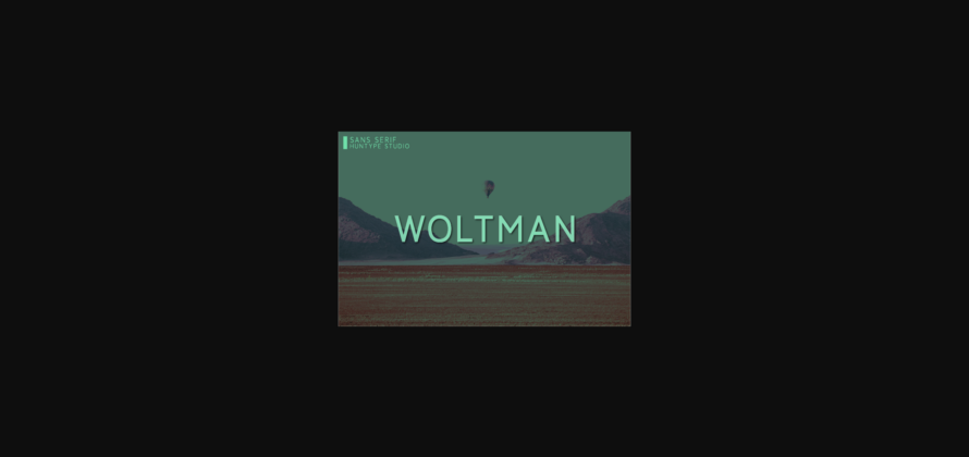 Woltman Font Poster 3
