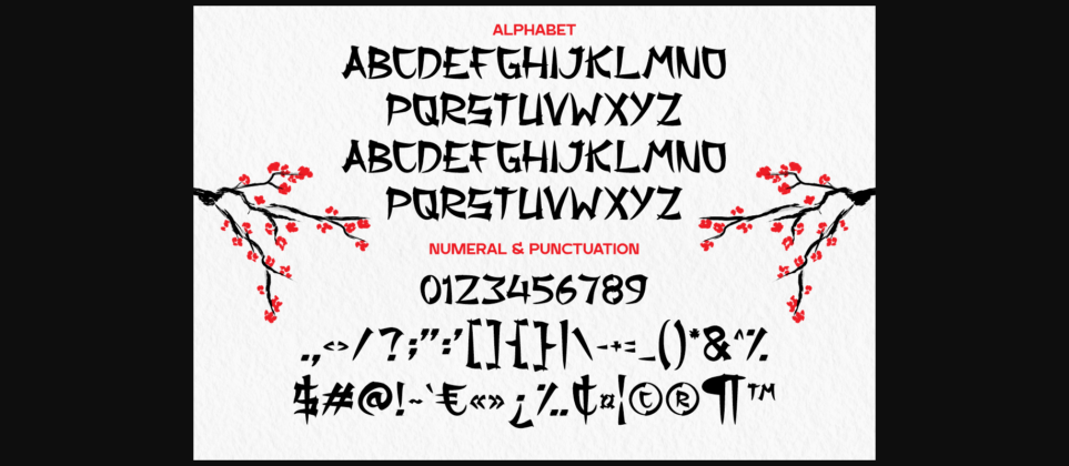 Akiro Font Poster 5