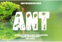 Ant Font Poster 1