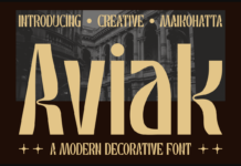 Aviak Font Poster 1