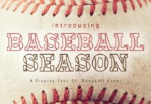 Baseball Season Font Poster 1
