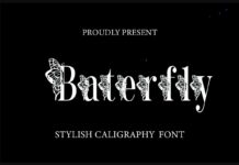 Baterfly Font Poster 1