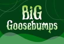 Big Goosebumps Font Poster 1