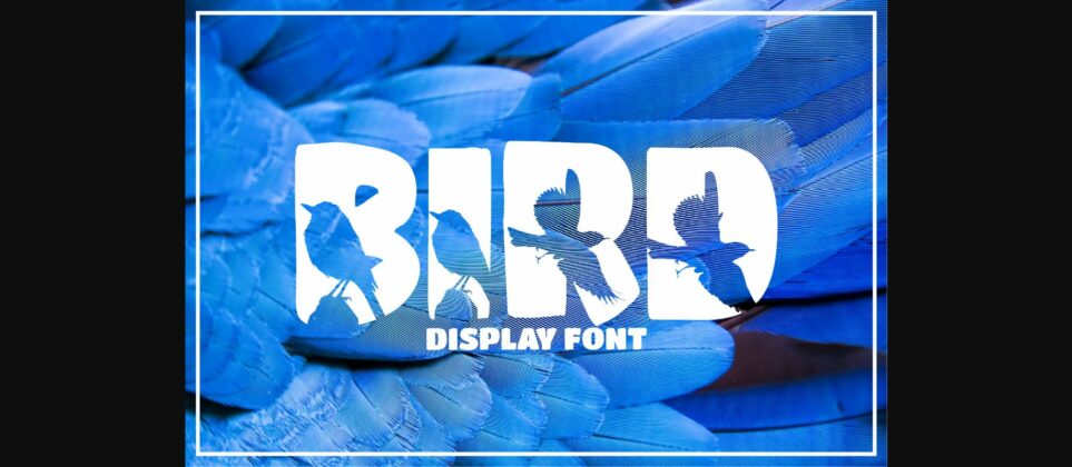 Bird Font Poster 3