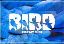 Bird Font Poster 1
