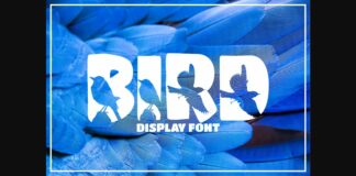 Bird Font Poster 1