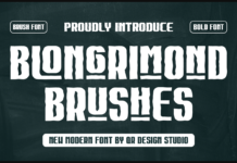 Blongrimond Brushes Font Poster 1