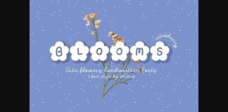 Blooms Font Poster 1